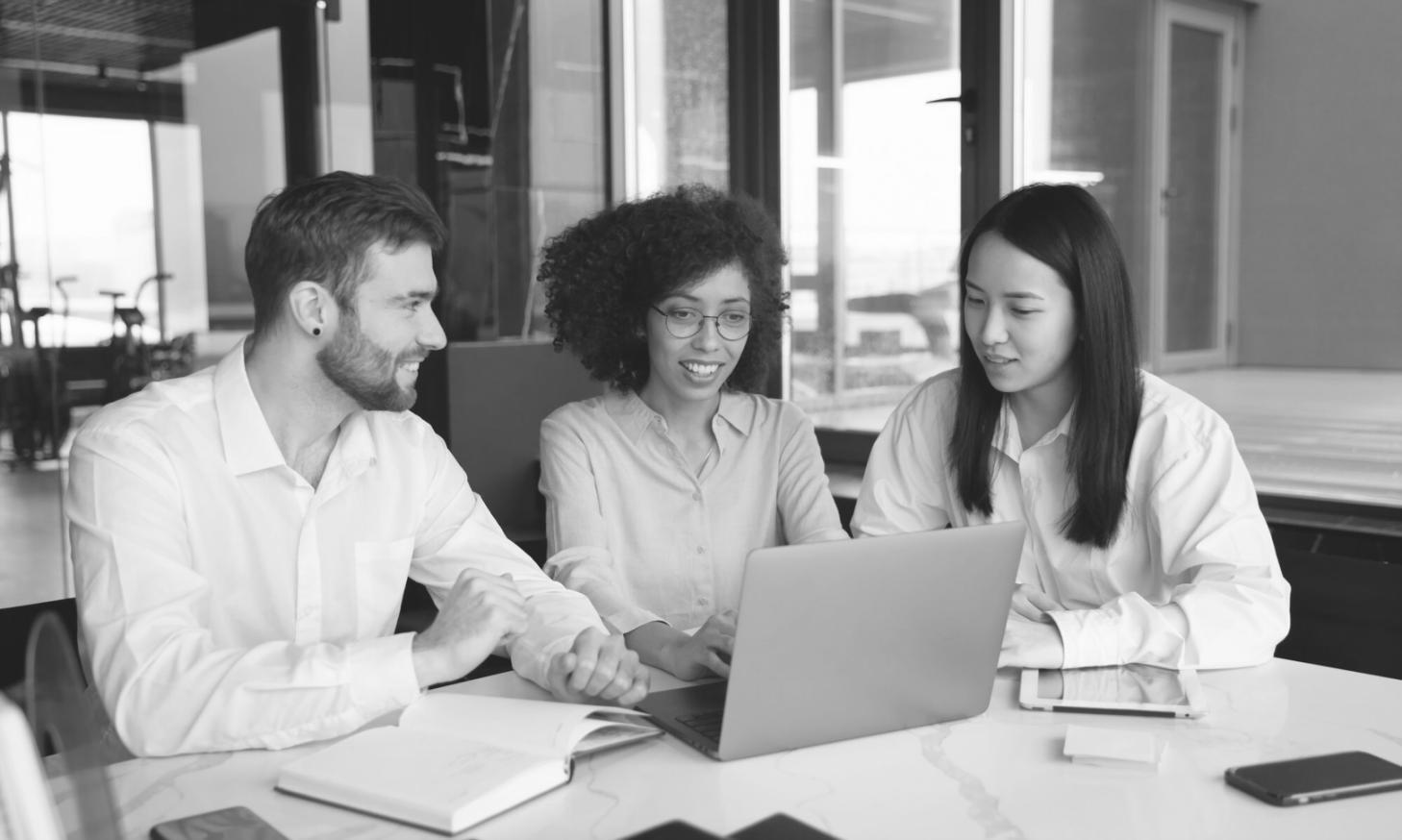 Expertenwissen in der Unternehmensbewertung